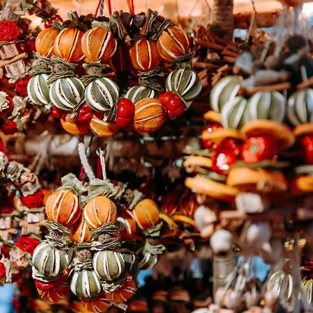 Charming Appartement